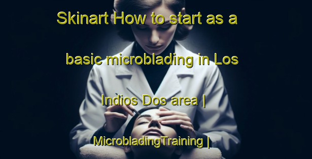 Skinart How to start as a basic microblading in Los Indios Dos area | MicrobladingTraining | MicrobladingClasses | SkinartTraining-Mexico